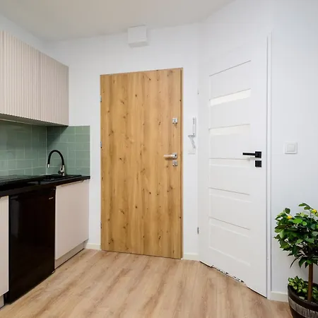 Szpitalna 公寓 扎布热