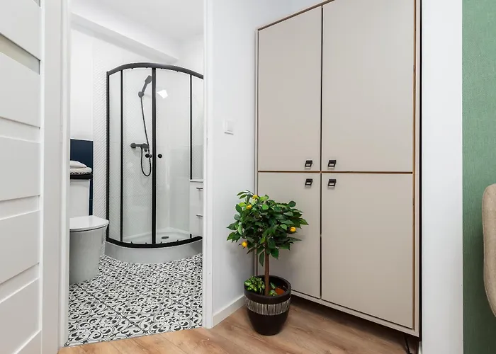 Szpitalna * 扎布热